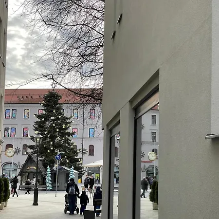 New Luxury 3 At Rathausplatz *